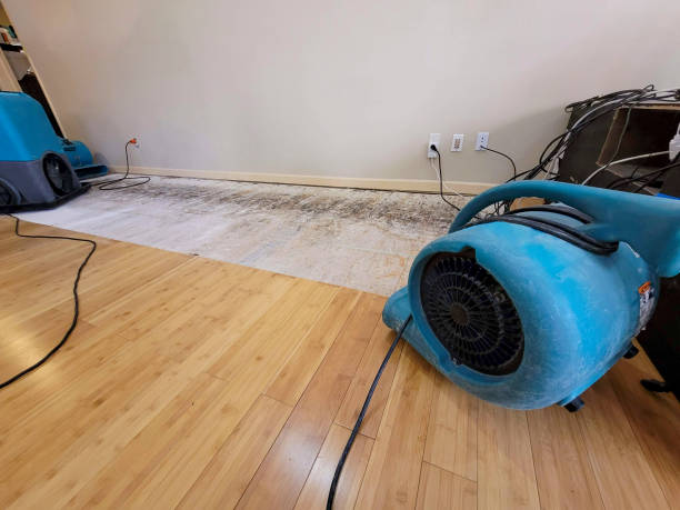 Professional Sewage Cleanup technician working in Forest Hills, NY